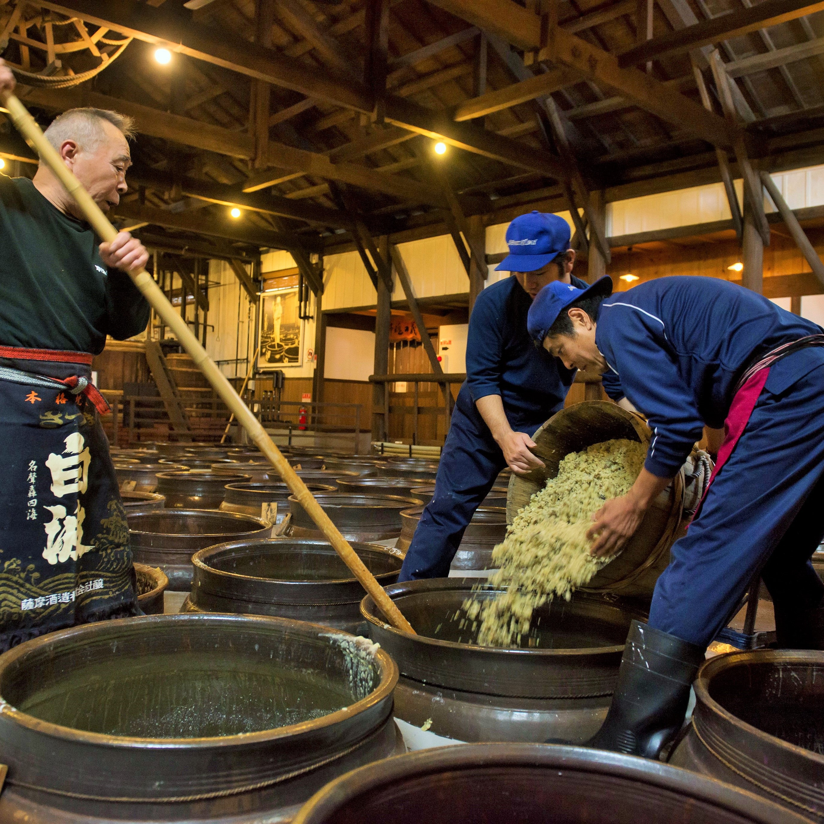 Exclusive Japanese shochu distillery tour organized by Tabitto Travel Kagoshima